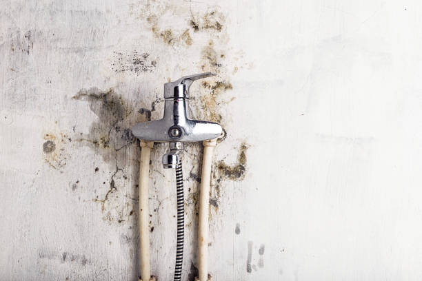 Water Damage Restoration in Milan, MI