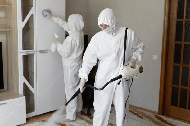 Best Commercial Mold Removal  in Lan, MI
